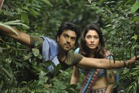 Racha Latest Photos